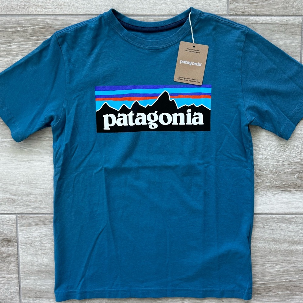 Patagonia Kids P-6 Logo Organic Cotton Responsibili-Tee - Wavy Blue